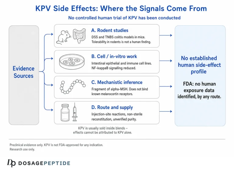 KPV Side Effects: What the Research Actually Shows