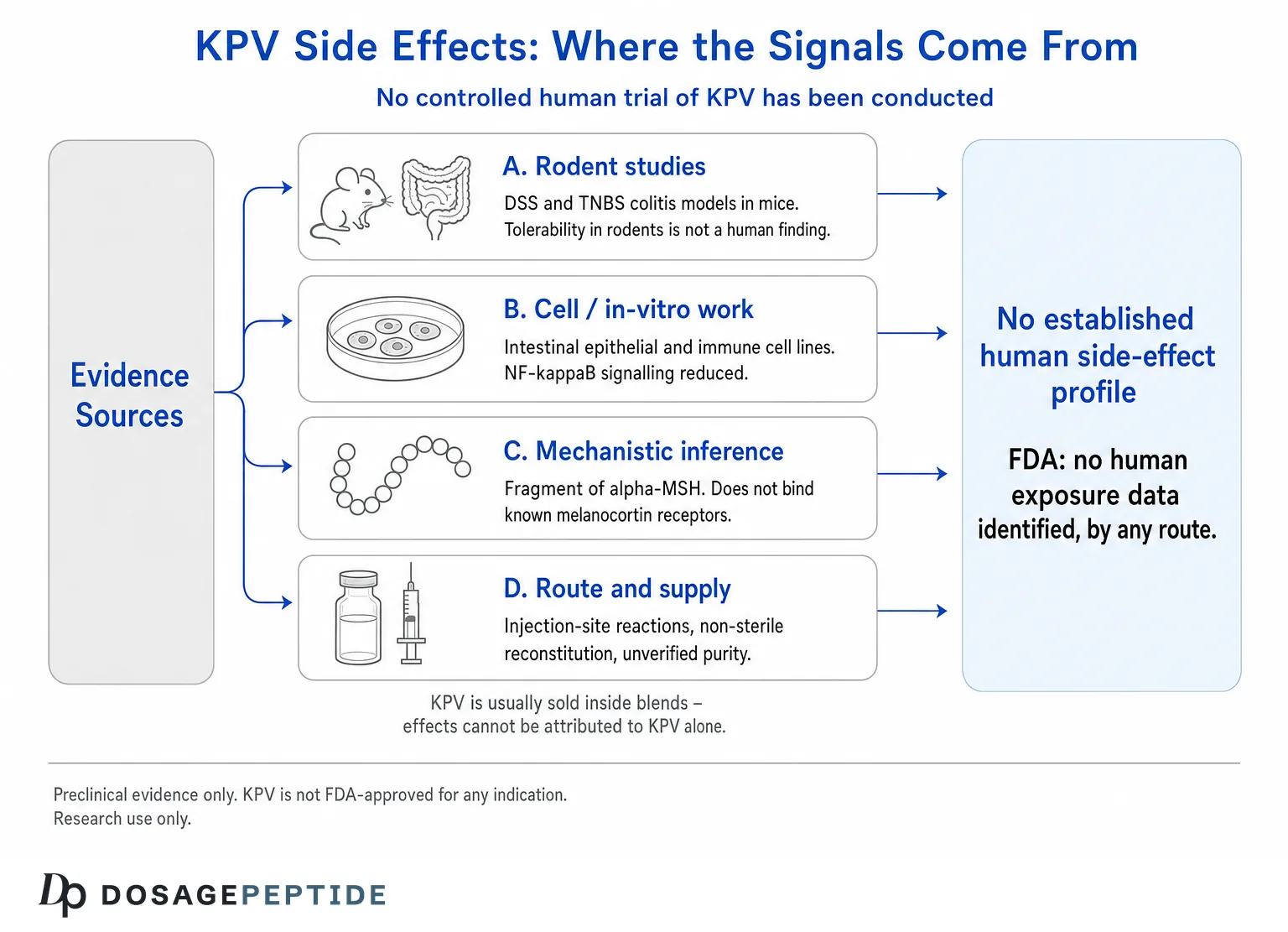 KPV Side Effects: What the Research Actually Shows