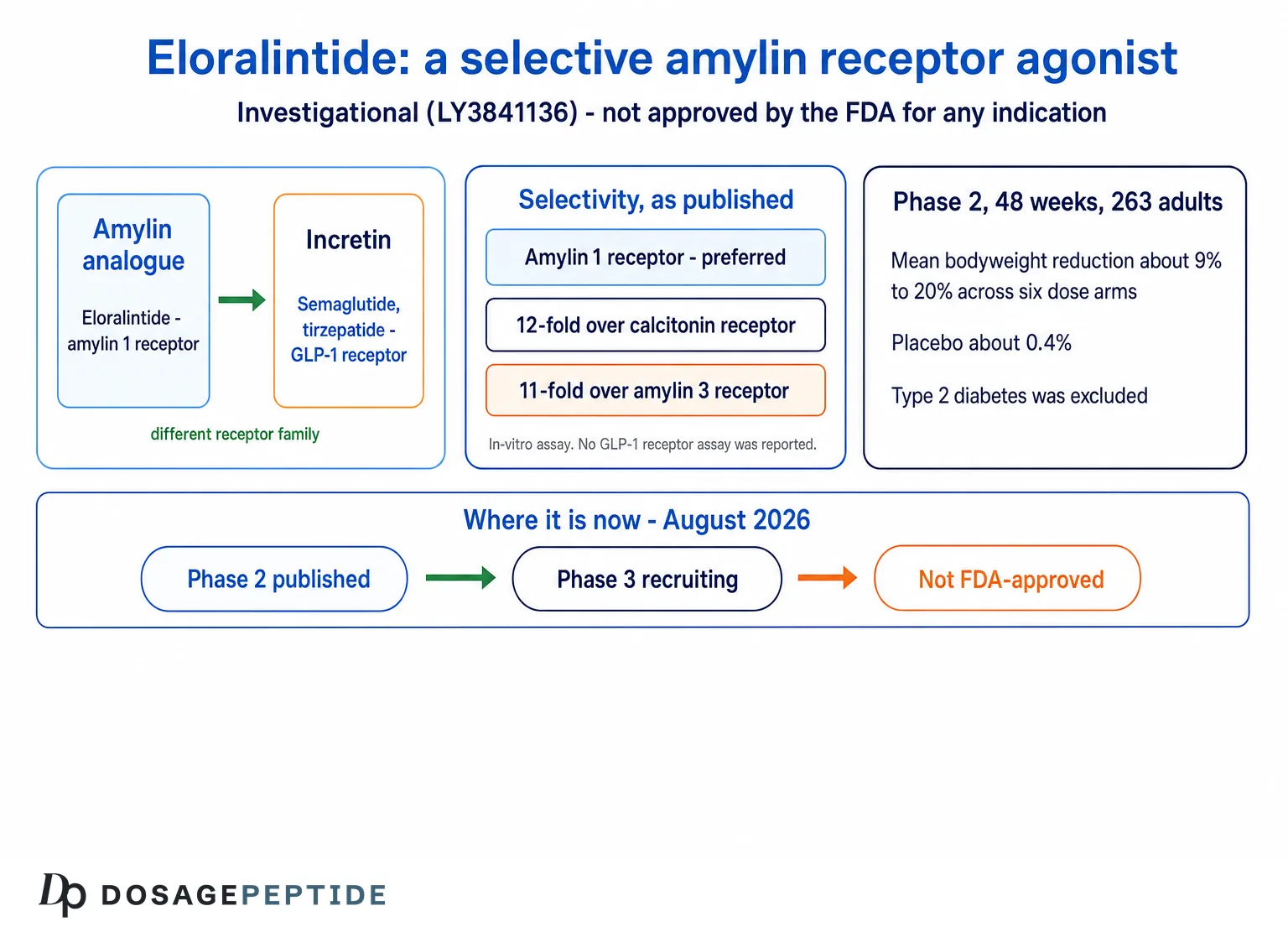 Eloralintide selective amylin receptor agonist: receptor family, published selectivity, phase 2 result and pipeline status