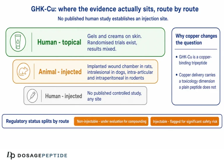 Where to Inject GHK-Cu: Routes Used in Research and Why the Evidence Is Topical