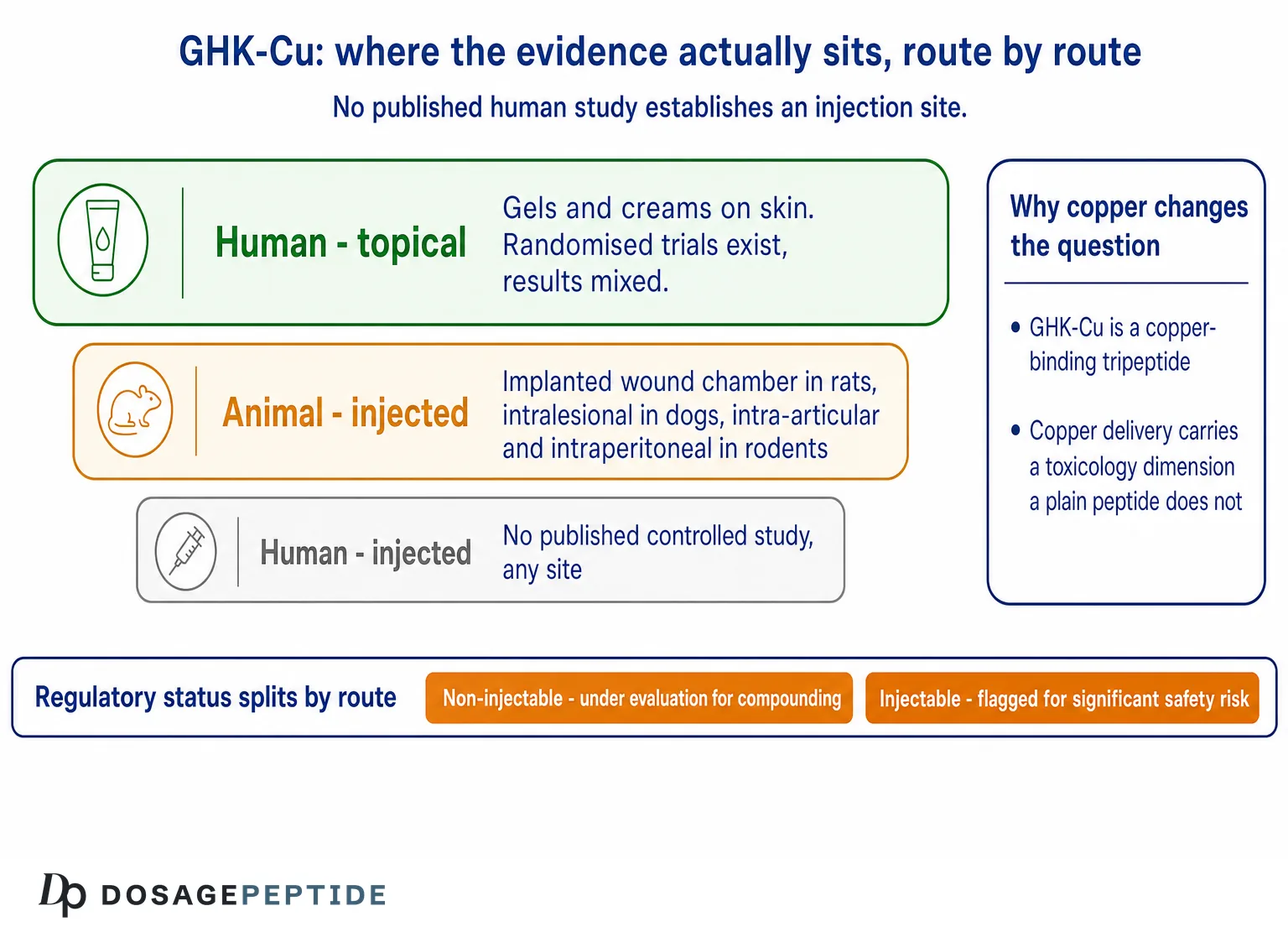 GHK-Cu evidence by route: human topical, animal injected, and the absence of any published human injection study
